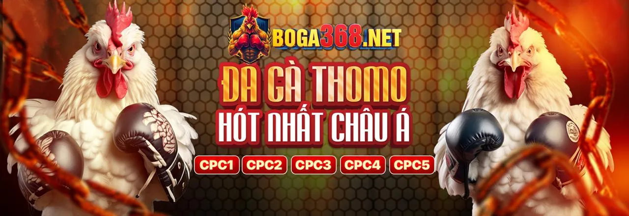 Hướng dẫn trò chơi và ưu đãi độc quyền từ bet678 code